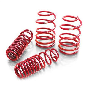 Eibach Sportline Springs Focus ST