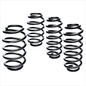 Eibach Pro-Kit Springs VW Passat 1.8T 1.9 TDI 4cyl non-4Motion (2001-2005)