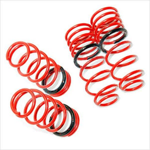 Tanabe DF210 Springs WRX / STI (2002-2003)