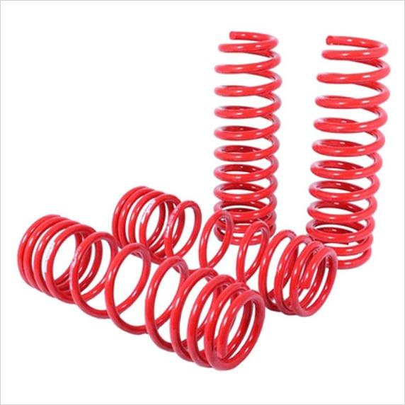 Skunk2 Lowering Springs Civic Si